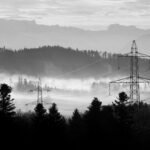 grayscale photo of trees and mountains