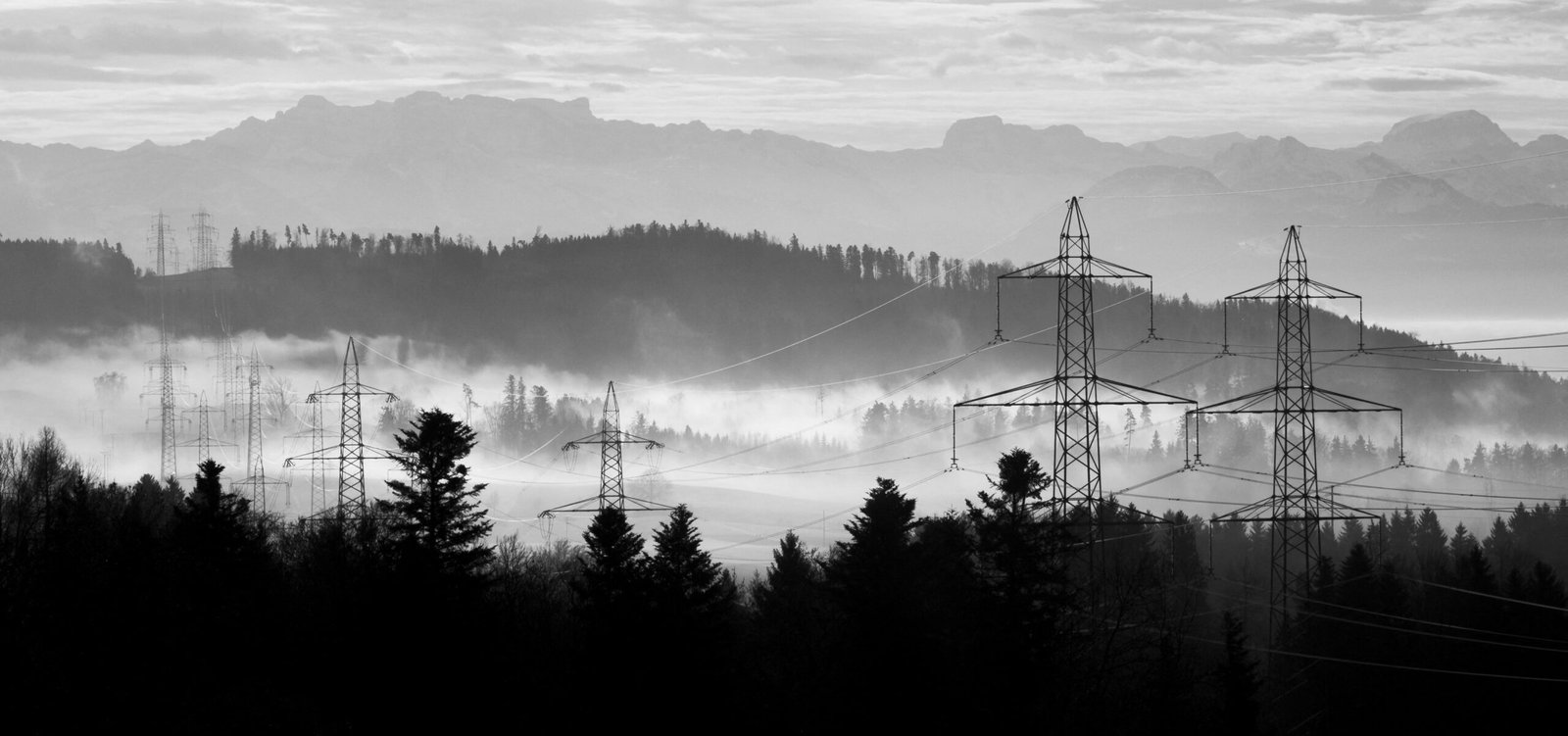 grayscale photo of trees and mountains